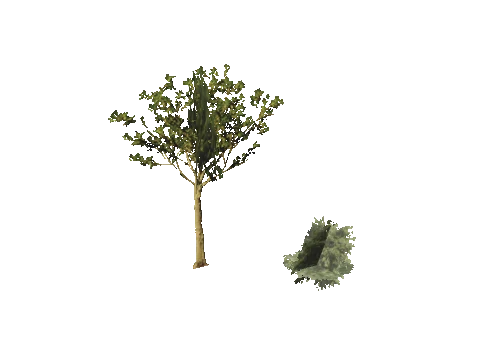 h4_mph4_se_p_8veg02_03_lod