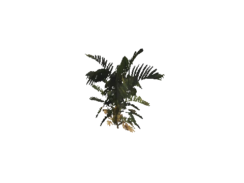h4_mph4_se_p_8veg02_07_lod