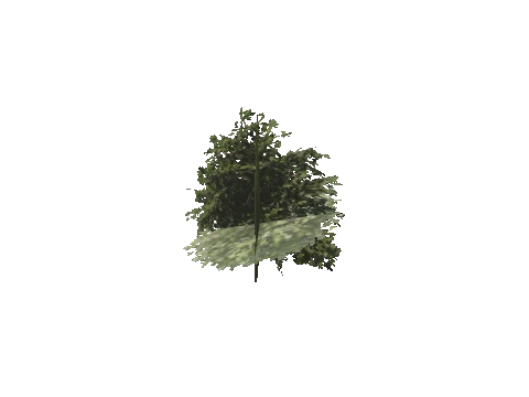 h4_mph4_se_p_8veg02_10_lod