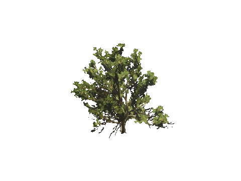 h4_mph4_se_p_8veg02_17_lod