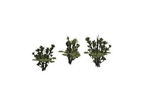 h4_mph4_se_p_8veg02_24_lod