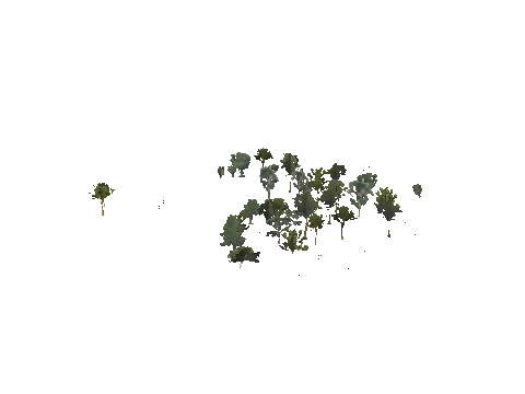h4_mph4_se_p_8veg02_slod