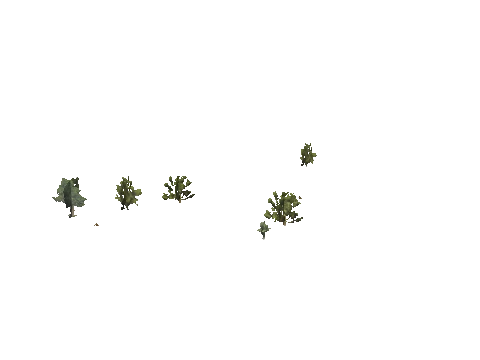 h4_mph4_se_p_8veg03_04_lod