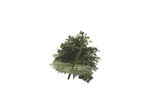 h4_mph4_se_p_8veg03_06_lod