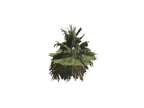 h4_mph4_se_p_8veg03_08_lod