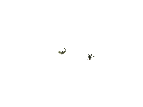h4_mph4_se_p_8veg03_11_lod