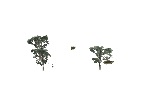 h4_mph4_se_p_8veg03_12_lod