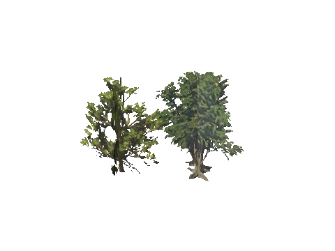 h4_mph4_se_p_8veg03_29_lod