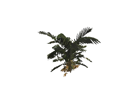 h4_mph4_se_p_8veg03_30_lod
