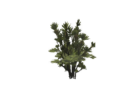 h4_mph4_se_p_8veg03_33_lod