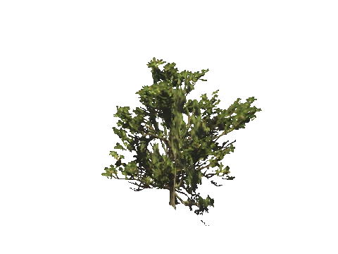 h4_mph4_se_p_8veg03_35_lod