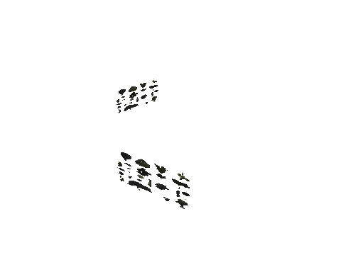 h4_mph4_se_p_9veg01_slod