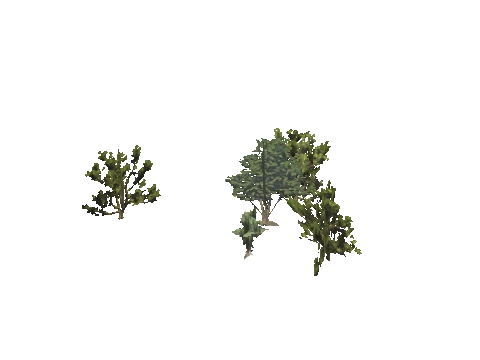 h4_mph4_se_p_9veg03_01_lod
