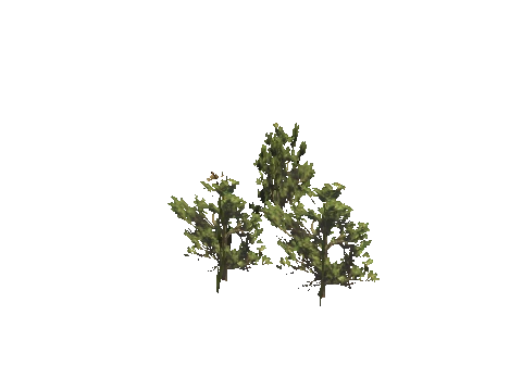 h4_mph4_se_p_9veg03_04_lod