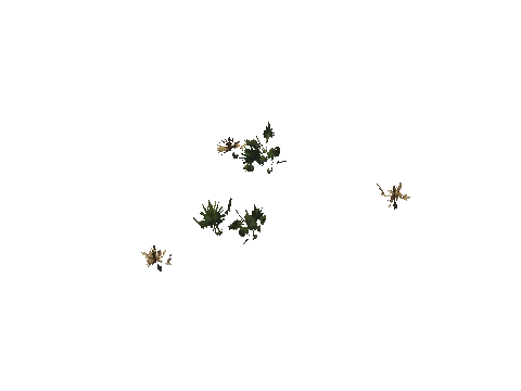 h4_mph4_se_p_9veg03_08_lod
