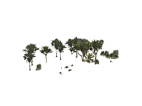 h4_mph4_se_p_9veg03_10_lod