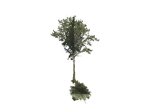 h4_mph4_se_p_9veg03_11_lod