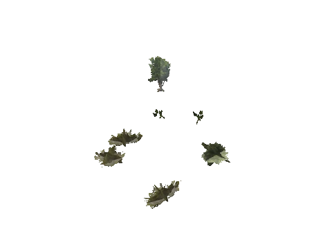 h4_mph4_se_p_9veg03_15_lod