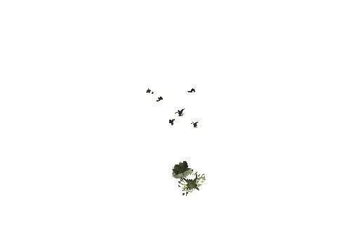h4_mph4_se_p_9veg03_16_lod