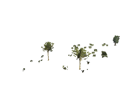 h4_mph4_se_p_9veg03_17_lod