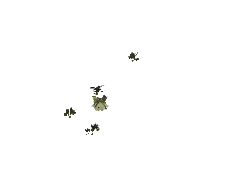 h4_mph4_se_p_9veg03_19_lod