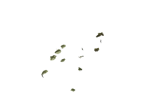 h4_mph4_se_p_9veg03_21_lod