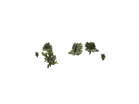 h4_mph4_se_p_9veg03_34_lod