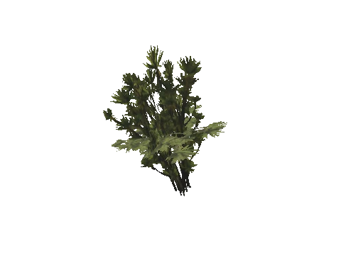 h4_mph4_se_p_9veg03_36_lod