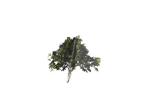 h4_mph4_se_p_9veg03_38_lod