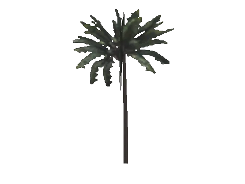 h4_mph4_se_p_9veg03_39_lod
