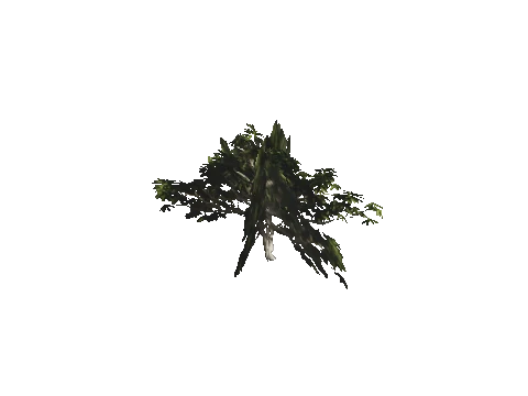 h4_mph4_se_p_9veg03_48_lod