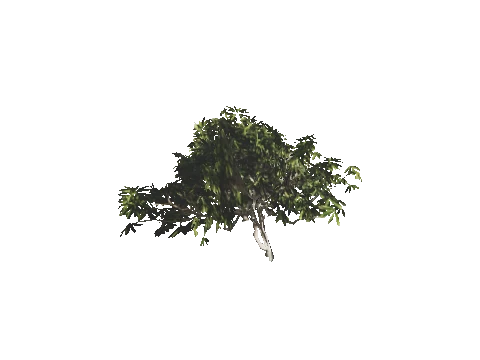 h4_mph4_se_p_9veg03_49_lod
