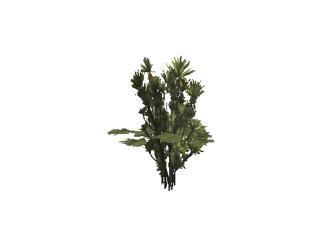 h4_mph4_se_p_9veg03_50_lod