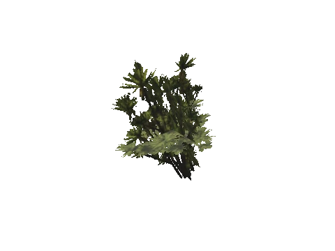h4_mph4_se_p_9veg03_51_lod