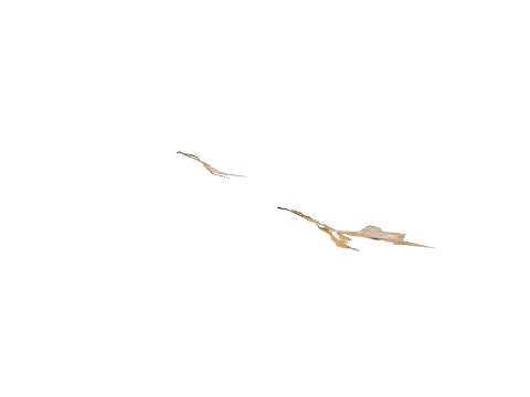 h4_mph4_ter01_t_d01, a GTA V map model
