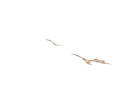 h4_mph4_ter01_t_d01_lod, a GTA V map model