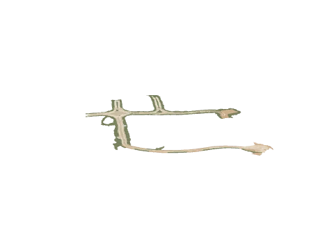 h4_mph4_ter06_track_02_lod, a GTA V map model