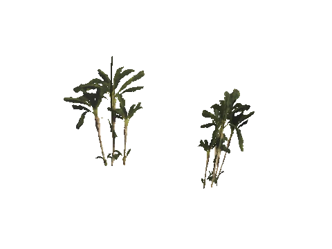 h4_mph4_ter06p_vegb01_11_lod, a GTA V map model
