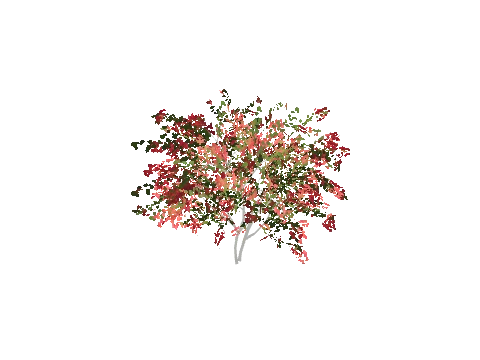 h4_prop_bush_bgnvla_lrg_01