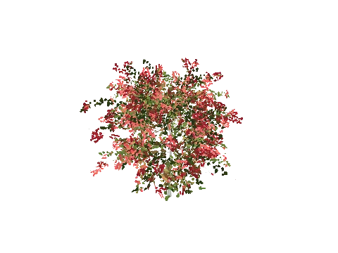 h4_prop_bush_bgnvla_med_01