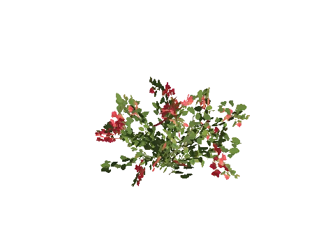 h4_prop_bush_bgnvla_sml_01