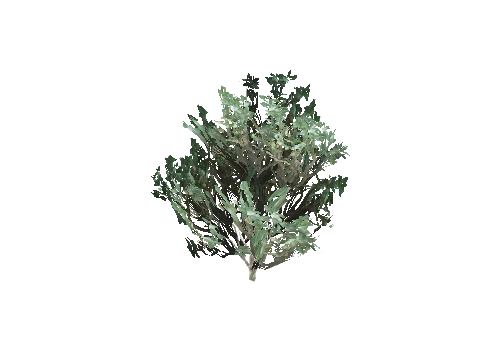 h4_prop_bush_boxwood_med_01