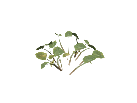 h4_prop_bush_ear_aa