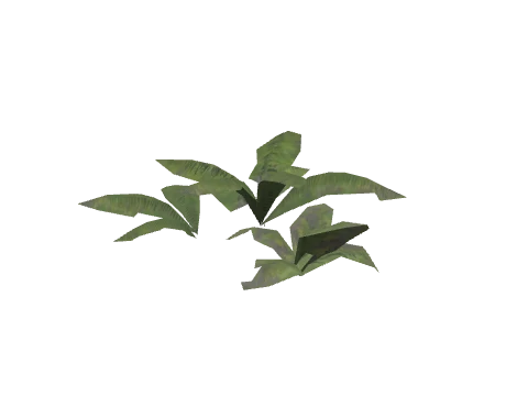 h4_prop_bush_fern_tall_cc