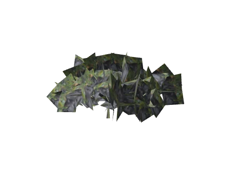h4_prop_bush_mang_low_aa