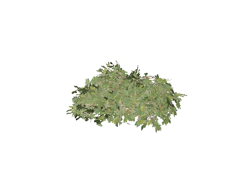 h4_prop_bush_mang_lrg_01