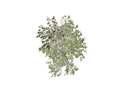 h4_prop_bush_mang_lrg_02