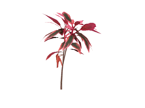 h4_prop_bush_wandering_aa