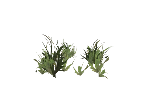 h4_prop_grass_wiregrass_01