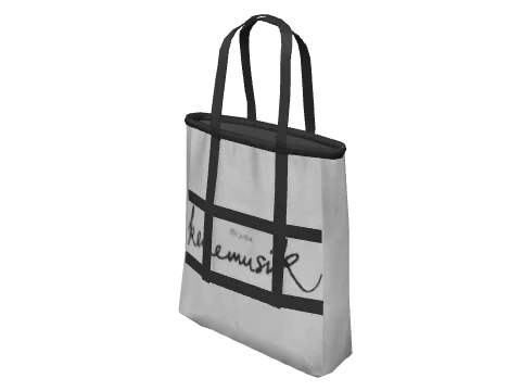 h4_prop_h4_big_bag_02a